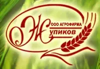 логотип АФ Жупика