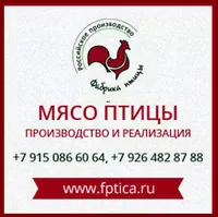 логотип ООО ПК ФАБРИКА ПТИЦЫ