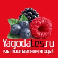 логотип Вологодская Ягода