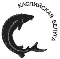 логотип Каспийская Белуга