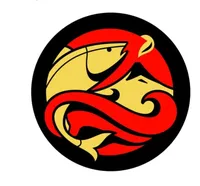 логотип Дары Камчатки