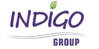 логотип АПК Индиго