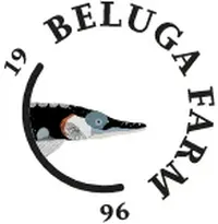логотип АРК Белуга