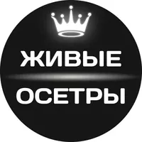 логотип Цацурин Аркадий Владимирович