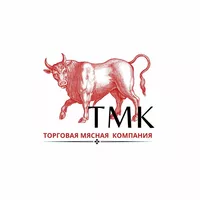 логотип ТМК ГРУПП