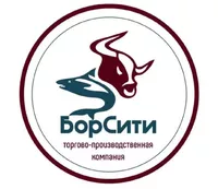 логотип ТПРК Борсити