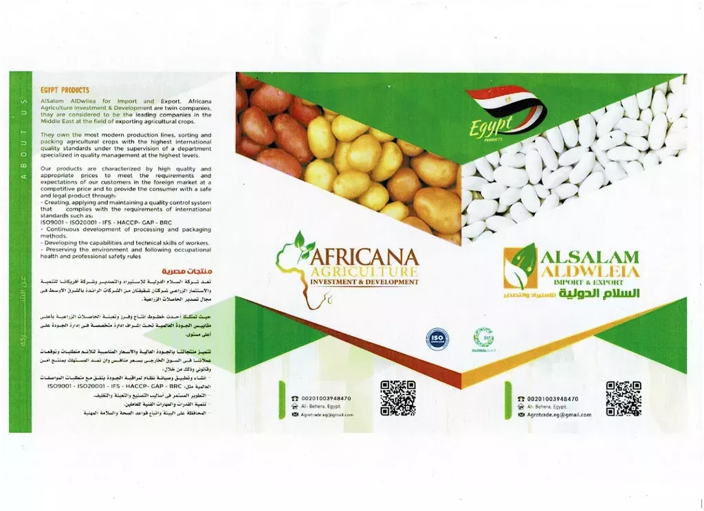 Сайт ооо экспорт