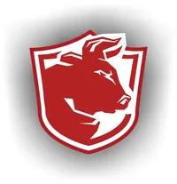 Логотип компании "ПК БМПЗ"