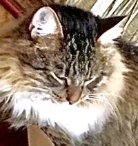 Логотип компании