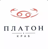 логотип ПЛАТОН
