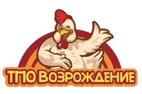 логотип ТПО ВОЗРОЖДЕНИЕ