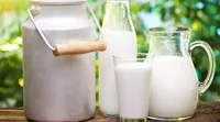 логотип Уральская Губерния
