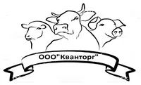 Логотип компании "Кванторг"