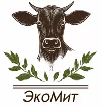 Логотип компании