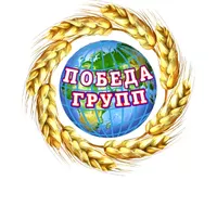 логотип Победа групп