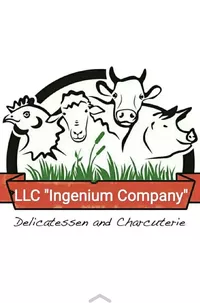 Логотип компании "Компания Ингениум"