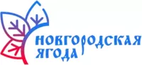 логотип НОВГОРОДСКАЯ ЯГОДА