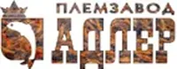 Логотип компании "Племенной форелеводческий завод Адлер"