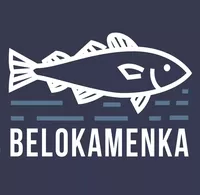 логотип РК Северная звезда