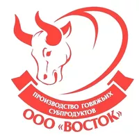 Логотип компании "Восток"