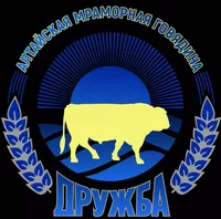 логотип ДРУЖБА