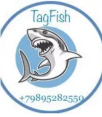 Логотип компании "Тагфиш"