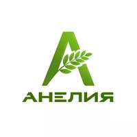 Логотип компании "Анелия"