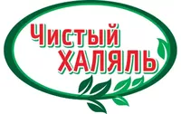 логотип Янгуразов Ильяс Рафаилович
