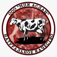 логотип АСЛАН