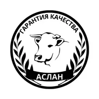 логотип АСЛАН