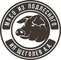 логотип Щеголев Антон Анатольевич