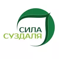 логотип ТД Сила Суздаля