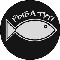 логотип " Рыба ТУТ"