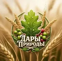 логотип Орбита