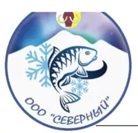 Логотип компании "СЕВЕРНЫЙ"
