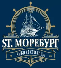 логотип МИС ДВ
