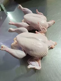 логотип Чанышев Рафаэль Галиевич