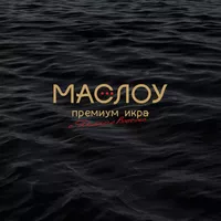 логотип Файзуллин Ильдар Искандарович