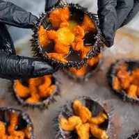 логотип Вырыханов Сергей Викторович