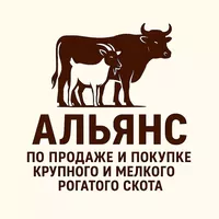 логотип Альянс