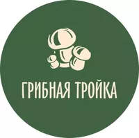 Логотип компании