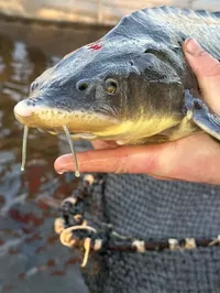 Логотип компании