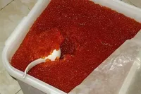 логотип Власова Дарья Олеговна