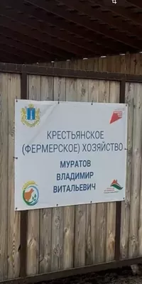 логотип ИП глава крестьянского (фермерского) хозяйства Муратов Владимир Витальевич