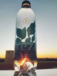 логотип ТМ ДИНА