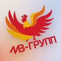 Логотип компании "МВ-ГРУПП"