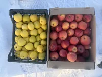 логотип Самозанятый