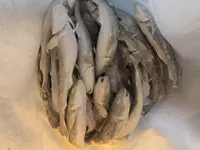 Логотип компании "Илларионов Андрей Александрович"