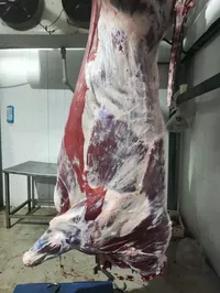 Логотип компании "ГРАНД"