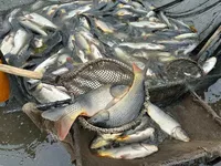 логотип КАСПЛЯНСКИЕ ПРУДЫ